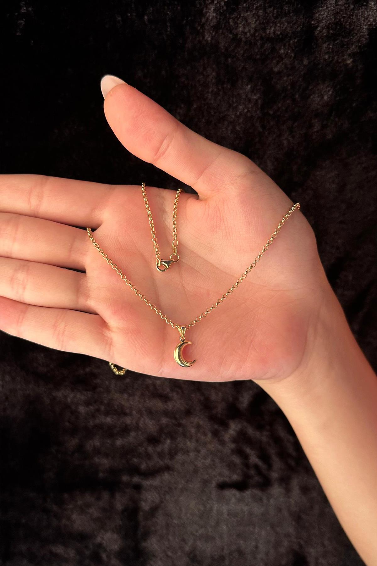 14K Gold Fine Rolo Chain Puff Crescent Necklace