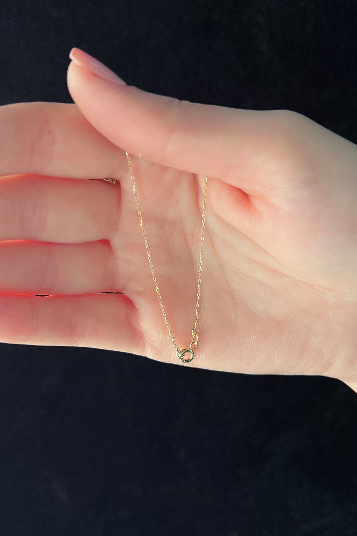 14K Gold Pisces Zodiac Sign Necklace