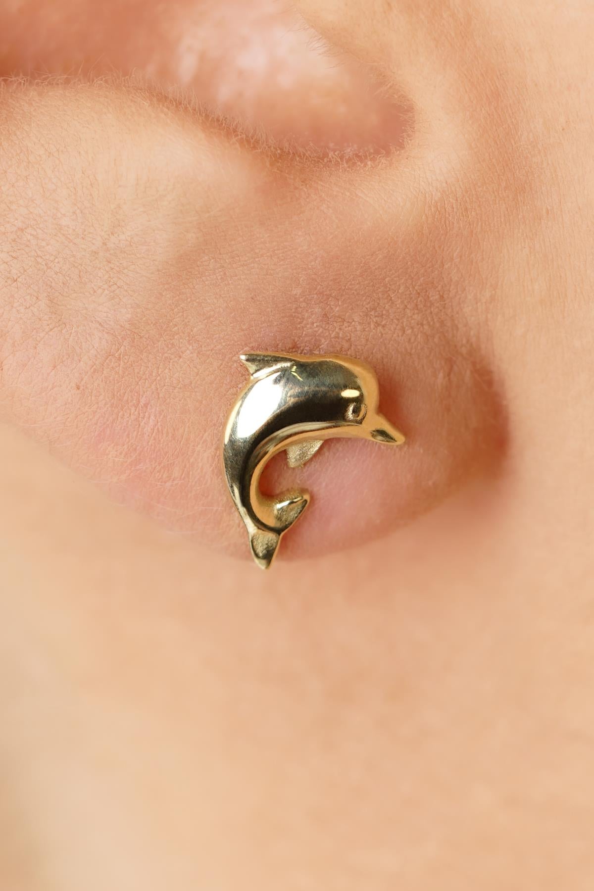 14ct Gold Dolphin Studs, Sea Jewelry