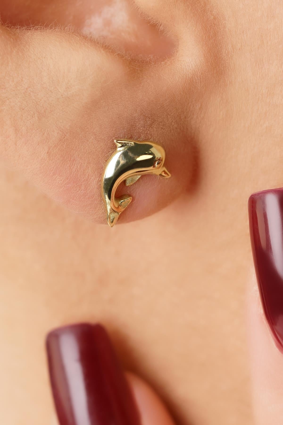 14ct Gold Dolphin Studs, Sea Jewelry