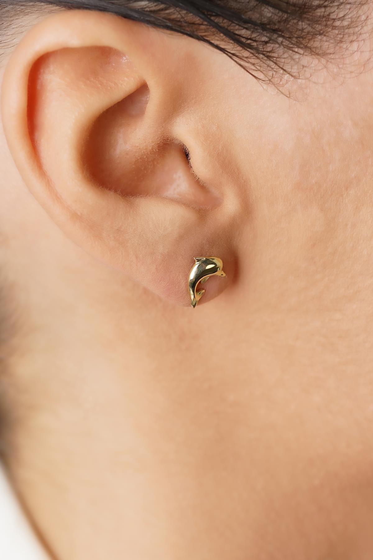 14ct Gold Dolphin Studs, Sea Jewelry