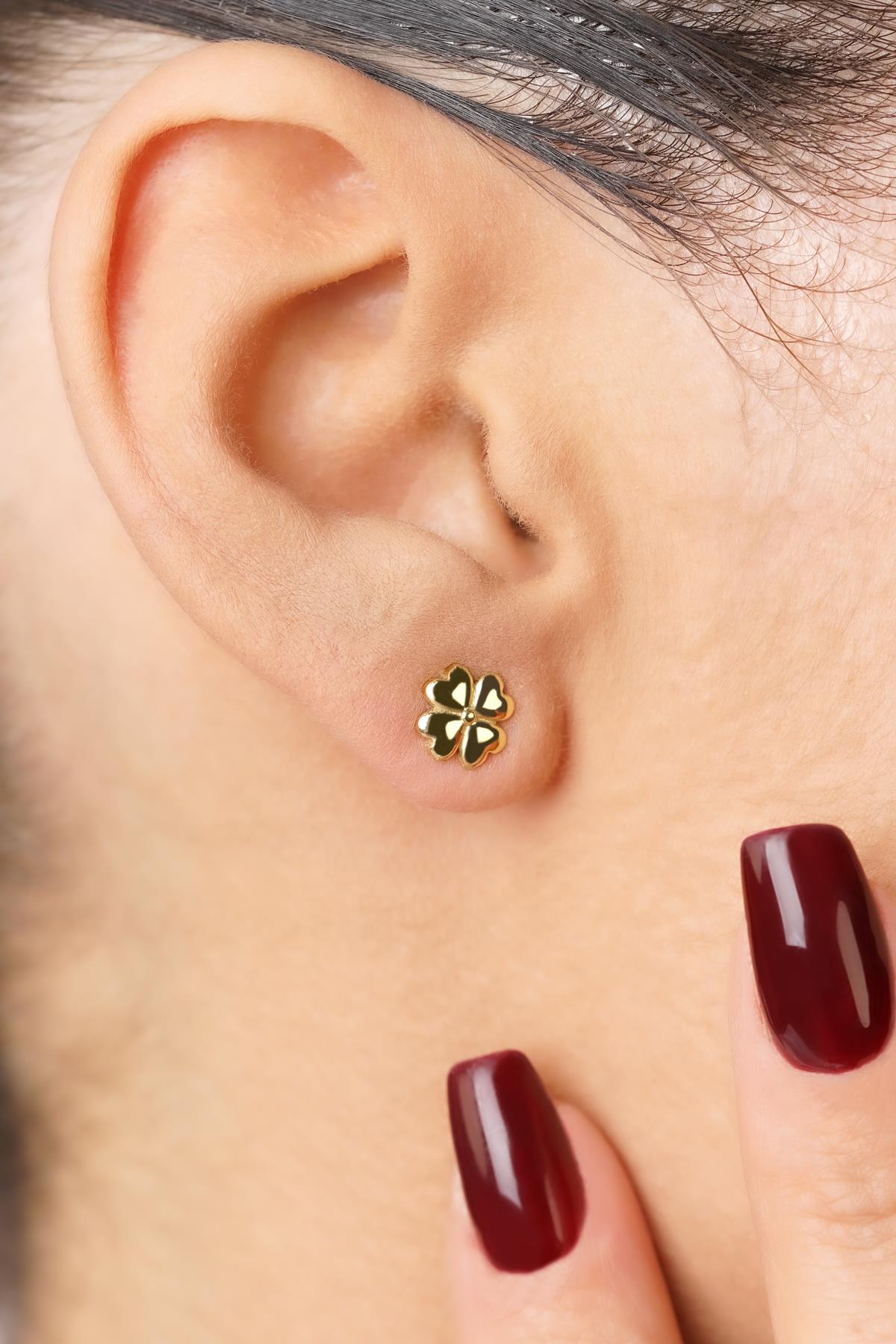 14ct Gold Lucky Four Leaf Clover Studs