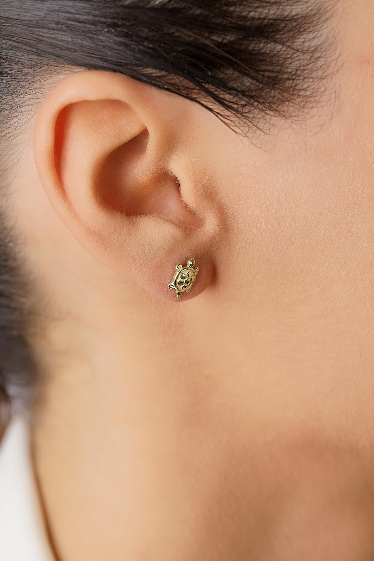 14ct Gold Turtle Stud Earrings