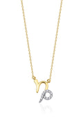 14ct Gold Capricorn Zodiac Sign Necklace