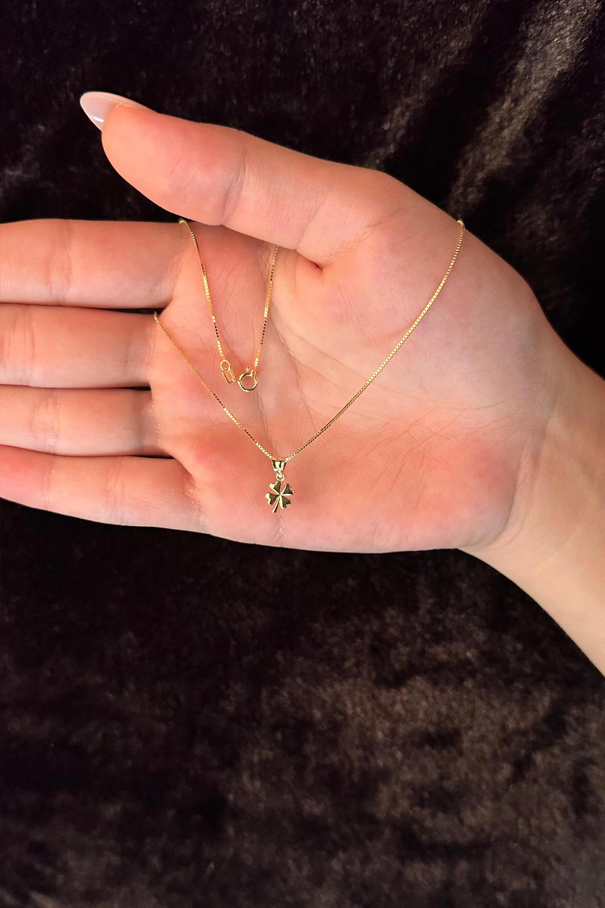 14K Gold Fine Box Chain Clover Necklace