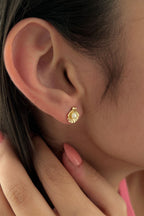 14ct Gold Oyster Stud Earrings