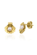 14ct Gold Oyster Stud Earrings