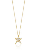 14ct Gold Stone Tailed Star Necklace